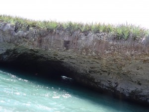 ISLAS MARIETAS